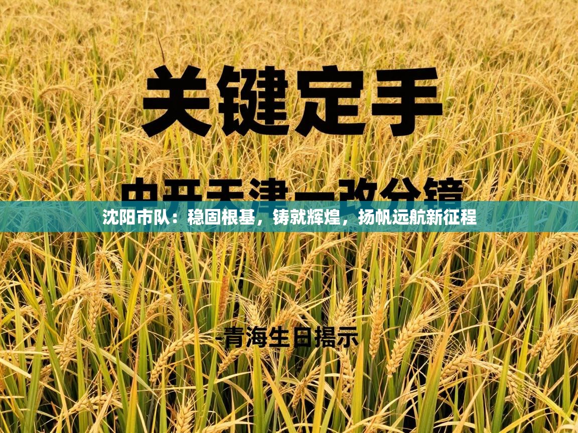 沈阳市队：稳固根基，铸就辉煌，扬帆远航新征程  第1张