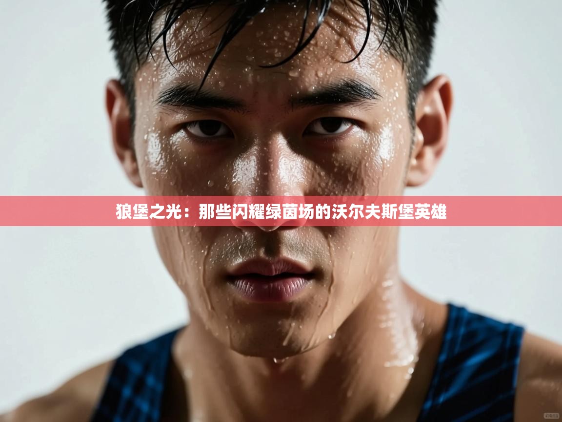狼堡之光：那些闪耀绿茵场的沃尔夫斯堡英雄